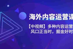 （10833期）海外内容 运营课【中视频】多种内容运营玩法 风口正当时 掘金好时机-101节