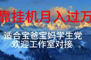 （10714期）每天躺着日入几百挂机项目，适合宝爸宝妈学生党工作室对接