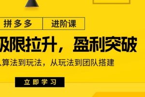 (11435期)拼多多·进阶课:极限拉升/盈利突破:从算法到玩法 从玩法到团队搭建-18节