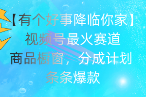 (11564期)有个好事 降临你家:视频号最火赛道,商品橱窗,分成计划 条条爆款,每…