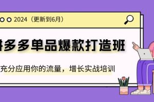 (11556期)2024拼多多-单品爆款打造班(更新6月),充分应用你的流量,增长实战培训