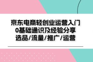 (11569期)京东电商-轻创业运营入门0基础通识及经验分享:选品/流量/推广/运营