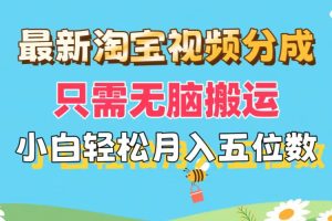 (11744期)最新淘宝视频分成,只需无脑搬运,小白也能轻松月入五位数,可矩阵批量…