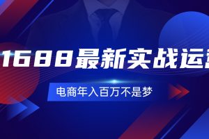 (11857期)1688最新实战运营 0基础学会1688实战运营,电商年入百万不是梦-131节