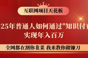 网创项目终点站-镰刀训练营超级IP合伙人，25年普通人如何通过“知识付费”年入百万