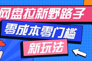 一个人也能操作的网盘拉新野路子玩法，零成本零门槛多种变现方式，轻松月入万元