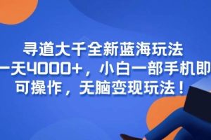 （15050期）寻道大千全新蓝海玩法，一天4000+，小白一部手机即可操作，无脑变现玩法！