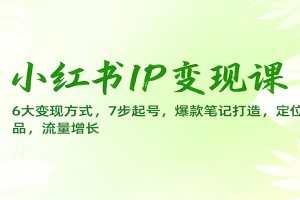 小红书IP变现课：6大变现方式，7步起号，爆款笔记打造，定位选品，流量增长