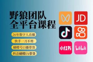 野狼团队2026新版全平台短视频带货教学，打开流量突破口，开始Ai带货（更新0709）