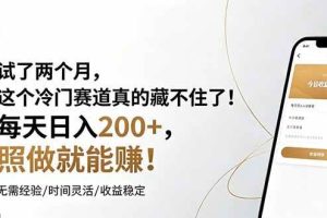 （19019期）试了两个月，这个冷门赛道真的藏不住了！每天日入200+，照做就能赚！