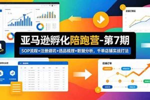 （18752期）亚马逊孵化陪跑营-第7期：SOP流程+注册避坑+选品梳理+数据分析，千单店铺实战打法