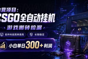 自营项目：CSGO全自动挂G，游戏搬砖捡漏，软件科技简单易用，长期稳定，小白单日300+利润【揭秘】