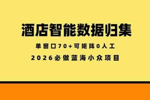 （18500期）酒店智能数据归集，小众蓝海已经稳定半年之久，单窗口70+零成本矩阵开干