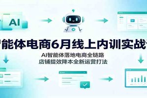 智能体电商6月线上内训实战课：AI智能体落地电商全链路，店铺提效降本全新运营打法
