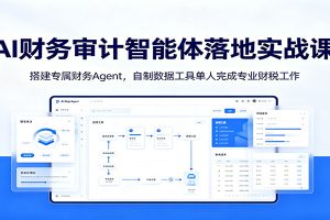 AI财务审计智能体落地实战课：搭建专属财务Agent，自制数据工具单人完成专业财税工作