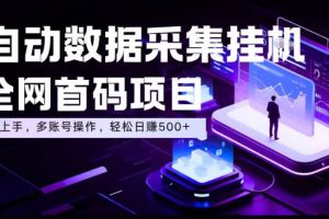 全自动数据采集挂G，全网首码项目，简单易操作，小白也能轻松上手，多账号操作，轻松日入500+【揭秘】