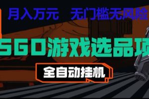 CSGO游戏自动扫货项目，全自动运行，月入1W，无风险，长期稳定可以做【揭秘】