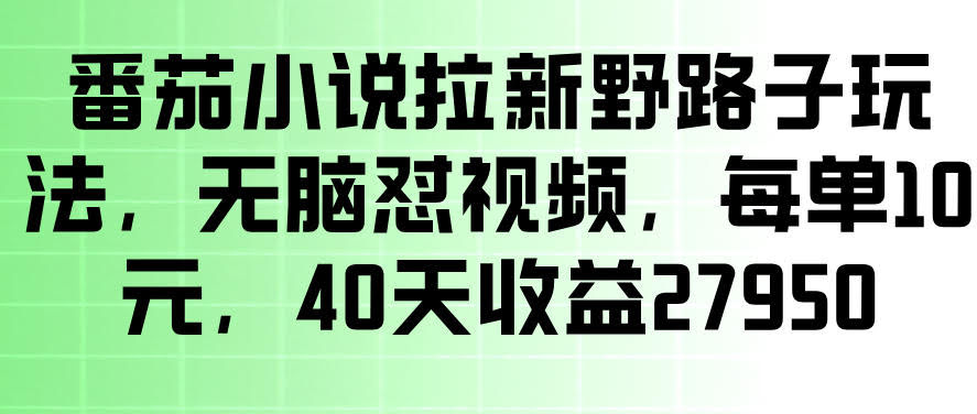 番茄小说拉新野路子玩法，无脑怼视频，玩法简单、见效快，每单10米，40天收益27950