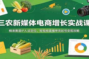 三农新媒体电商增长实战课：精准赛道IP人设定位，短视频直播带货起号变现攻略