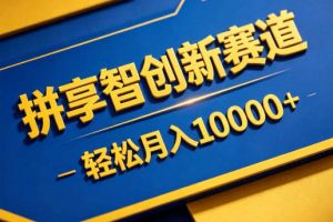 拼享智创新赛道，轻松月入1W+，门槛极低、收益稳定、可长期放大的轻资产项目【揭秘】