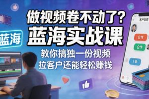 做视频卷不动了？蓝海实战课教你搞独一份视频，拉客户还能轻松賺钱！【原创双语字幕】