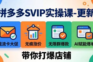 （17912期）拼多多SVIP实操课-26年4月，截流卡大促+无痕涨价+无限群爆款+AI赋能爆单新玩法，带你打爆店铺