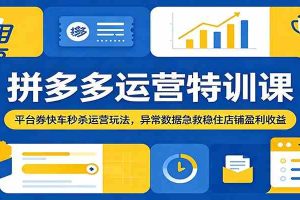 拼多多运营特训课：平台券快车秒杀运营玩法，异常数据急救稳住店铺盈利收益