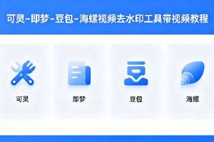 可灵–即梦–豆包–海螺视频去水印工具带视频教程