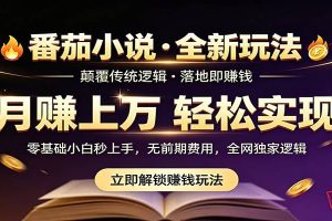 番茄小说5月最新独家玩法，稳定落地实测月入过万！